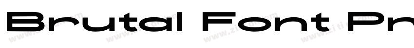 Brutal Font Pro字体转换